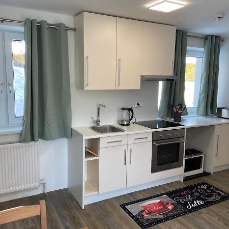 Mountain View Apartment Ramsau am Dachstein Zewnętrze zdjęcie
